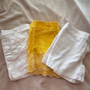 Loft Shorts Lot of 3